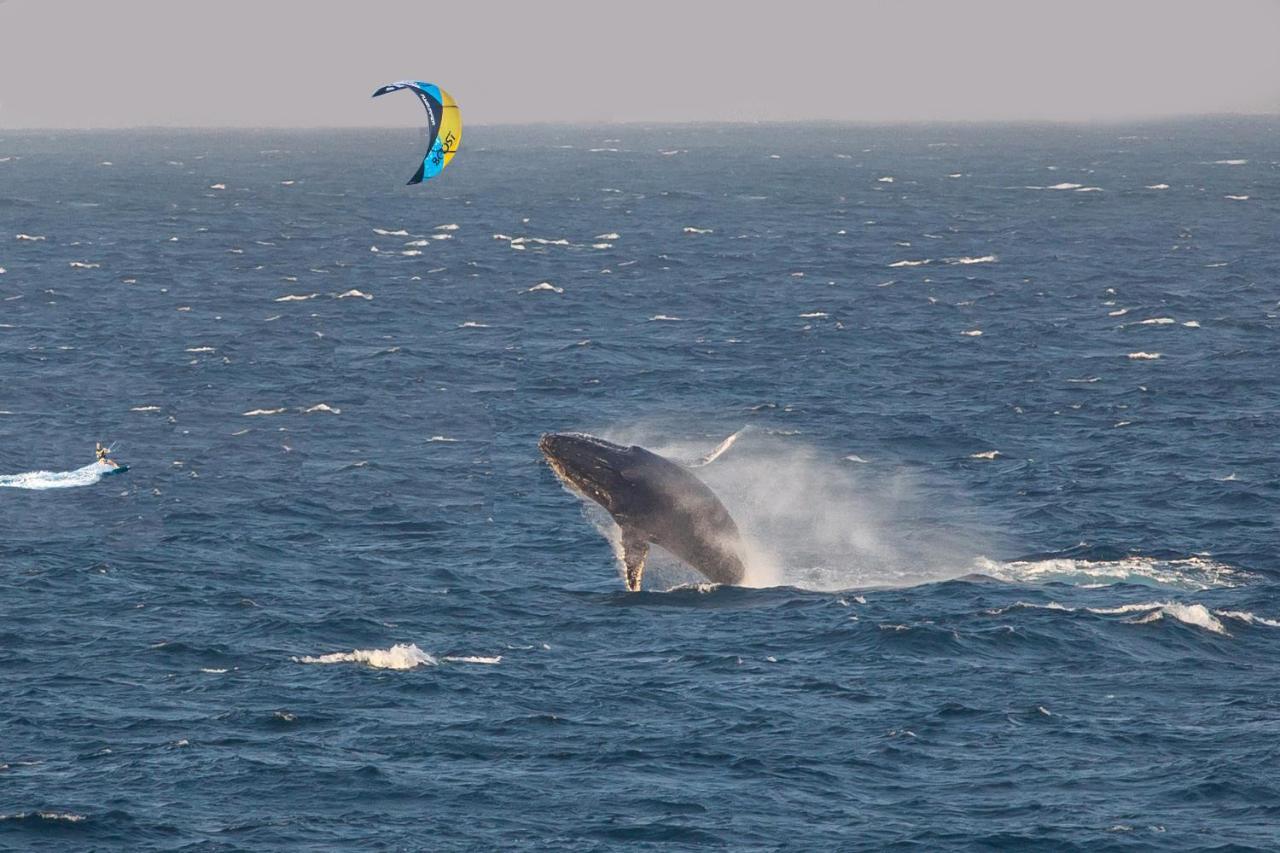 Kitesurf Tofo House Hostel Екстериор снимка